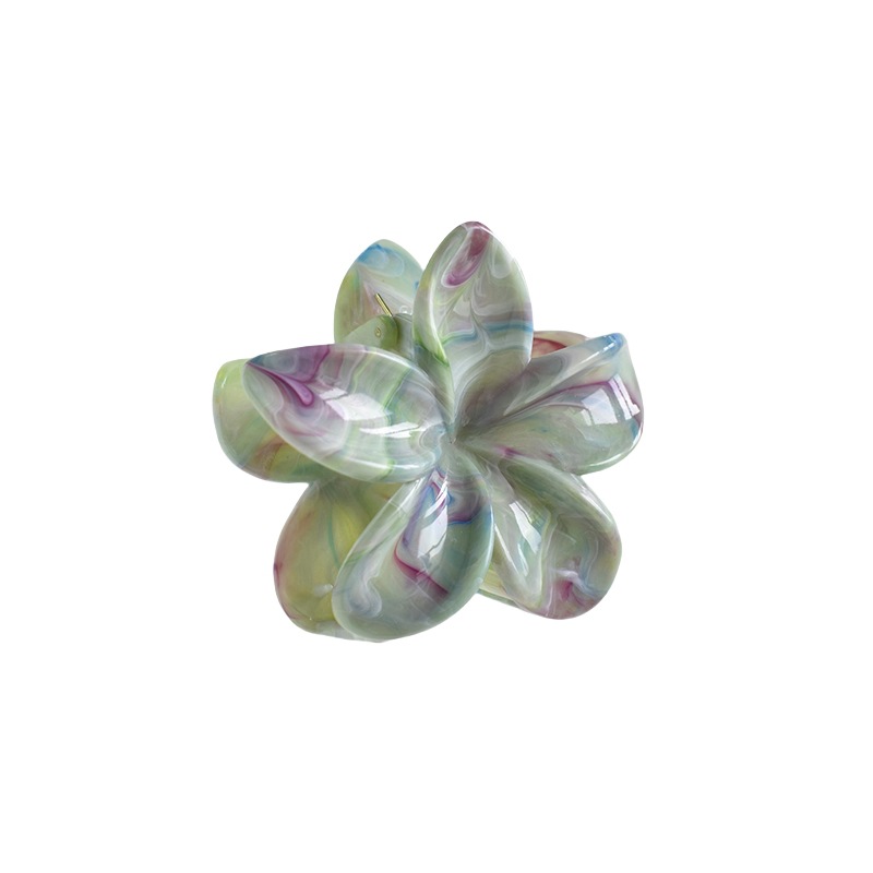 38g Weight Hair Claws Hair Accessories Type 1 Piece Quantity Casual Occasion Plastic, Resin Material Plumeria Pattern Women's Gender Simple Style Style Simple Style Women's Plumeria Plastic Resin Hair Claws 14