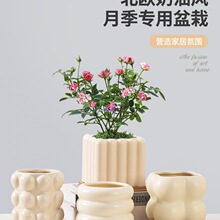 �����մɼ��ú����m���豱�W���s�L�����L����Gֲ��