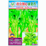改良割心油菜苔种子菜苔种油菜薹芸苔菜台菜春秋季早熟四季蔬菜