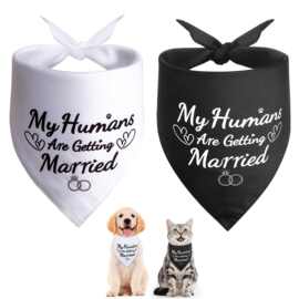 跨境专供宠物三角巾 My Humans Are Getting Married派对宠物围巾