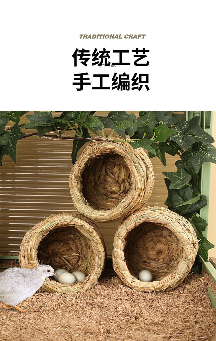 f15f699e-1e2c-4f10-a656-9762bcf21ec3.jpe