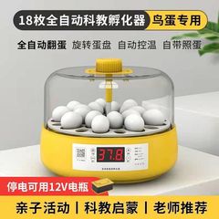 孵化器科教儿童小型家用型迷你全自动孵化器小鸡芦丁鸡智能孵蛋器
