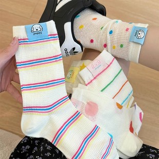 ��Ͱ� �m�Ӳ�ɫ���c�l�y��Ͳ�m���m���ļ�����W��͸�Ⲽ���L�m