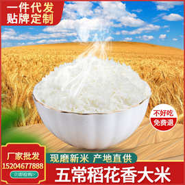 2021年新米河韵乡东北五常大米稻花香500g 散米 厂家批发 贴牌
