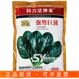 ��̏��ݾ޲�һ���s������35�����������rʳ�ӹ����＾�������Բ�