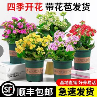 �L�ۻ������ذ�����󻨎����������ļ��҃��_�����B���L�ۻ�