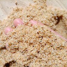 ˮ̎����ɰ�S�ҬF؛�A����ɰ�V��늏Sˮ�S�^�Vˮ��ʯӢɰ���M�Ę�