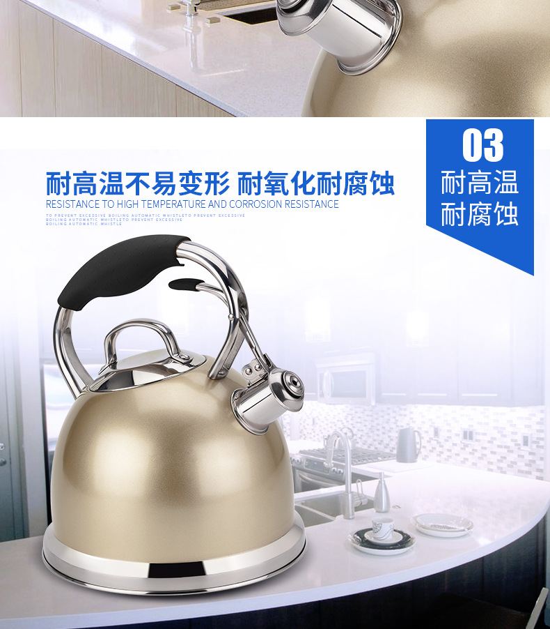 GS-04587G_04.jpg