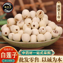 ɏșlɏ ɏҎRȫtɏؕɏ