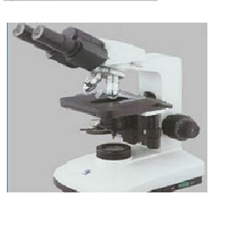 双目显微镜 型号:CG200-BK1201库号：M8707