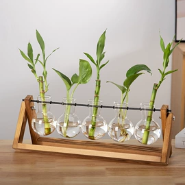 玻璃工艺品;装饰花瓶;水培植物瓶