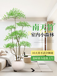 ����������ֲ�������B�����������Ϙ��͏d�҃�ͥԺ������ؾGֲ