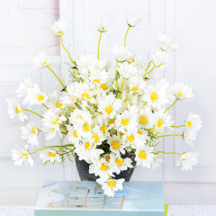 Simulated daisy 5-head Dutch chrysanthemum cosmos wedding home photography decoration props simulated flower chamomile