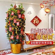 ��ۘ����Ԏ����͏d�҃ȴ���ֲ��С�����辰���B�����ؔ�Gֲ����