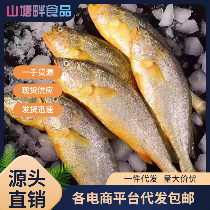 小黄花鱼新鲜海捕冷冻青岛小黄鱼非大黄鱼深海鱼海鲜水产商用批发