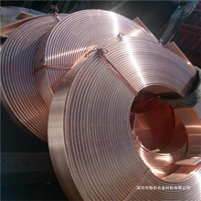 �ߌ��~��C194EX �������������~�� �~�Ͻ�Դ�^�~���ďV�|