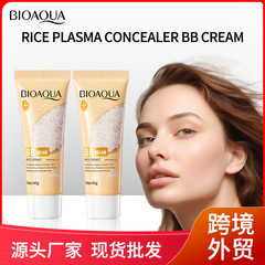 完全英語 BIOAOUA 米ピューレ 完璧な美白 BB クリーム 補修と美白 BB クリーム 越境卸売
