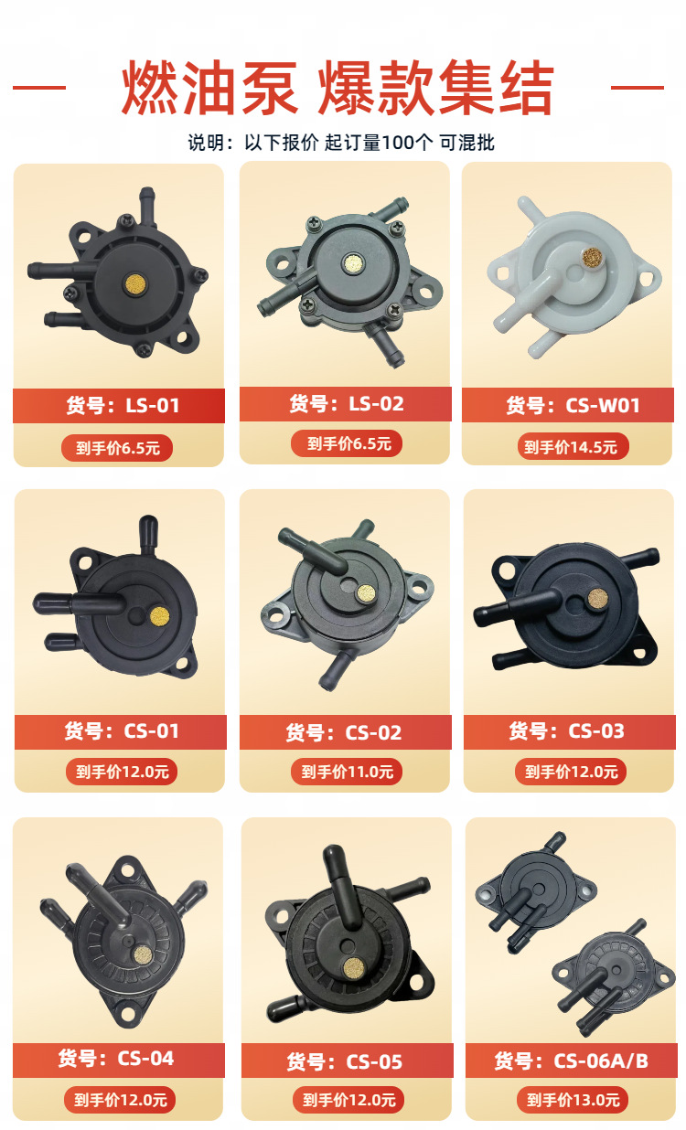 Bailitong Fuel Pump, Lawn Mower Oil Pump, Oil Pipe, Oil Filter 691034 808281 692313