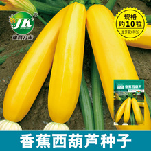 厂家批发香蕉西葫芦种子黄色葫芦瓜种籽生吃菜园盆栽四季蔬菜种子