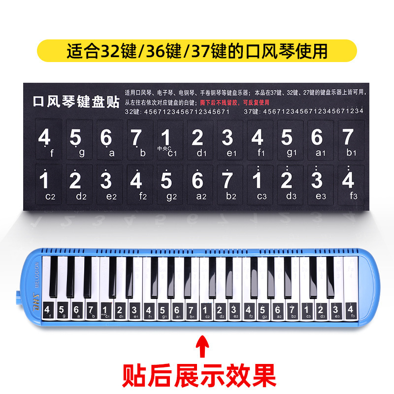 口风琴键盘帖 琴键贴纸37键32键36键27键奇美天鹅DHS国光铃木通用|undefined