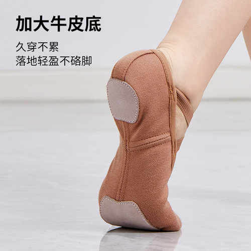 New Women's Soft Sole Ballet Four-Sided Springy Elastic Fabric Adult Classical Dance Practice Cat Paw Shoes Cross-Border Wholesale