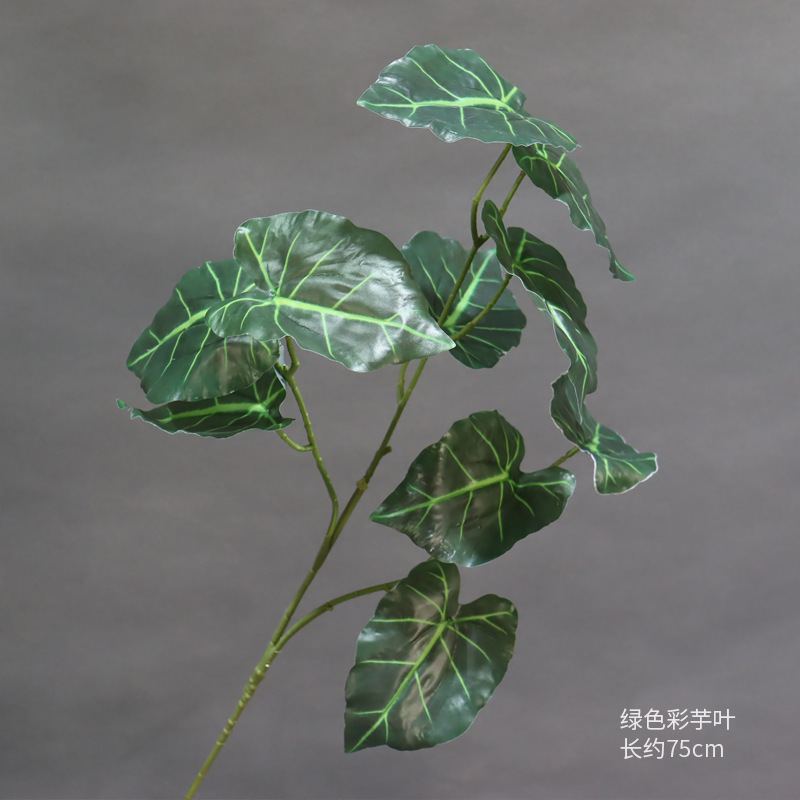 Una hoja de taro verde