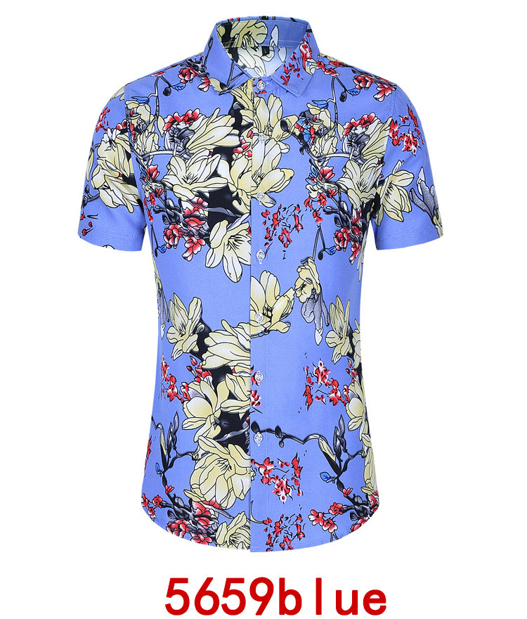 H5c51db1681ca4e87b0e3874b348d2