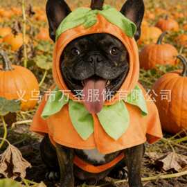 跨境万圣节南瓜宠物狗狗服装
