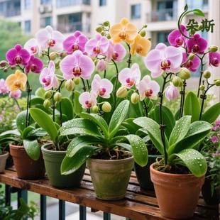 �����m���Ԏ����������������ﶬ�͏d�m�������҃�ֲ���ļ����B��