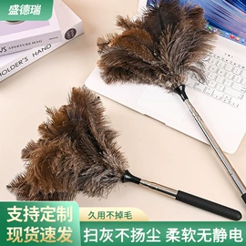 除尘掸;羽毛、羽绒;其他工艺品