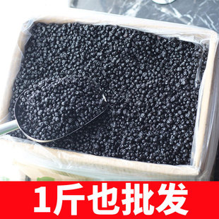 ���d���XҰ���{ݮ��ɢ�b�|���خa�{÷�����{ݮ�������lÿ�ՈԹ�