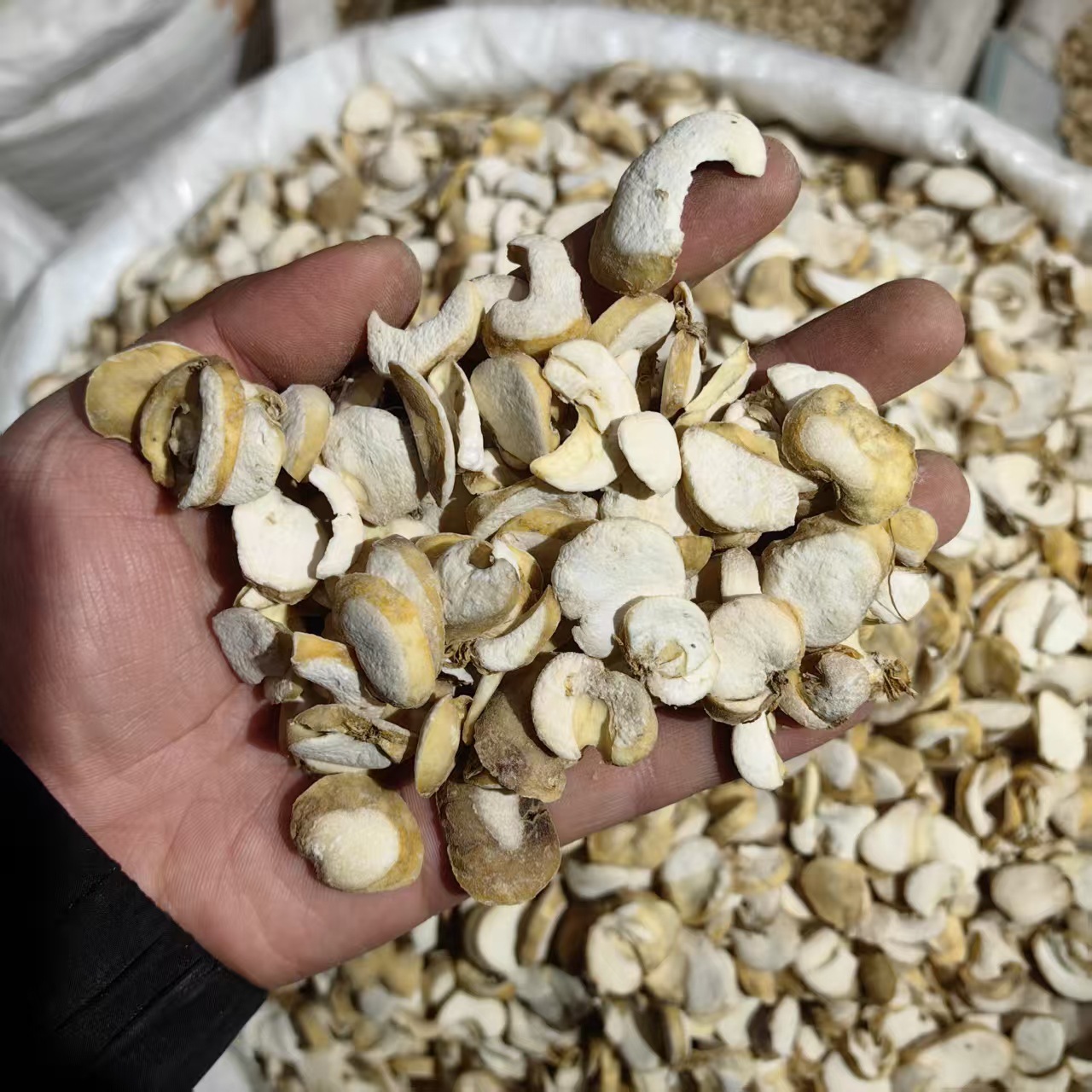 Zhejiang Fritillaria Bulb Powder Zhe Bei Mu 500g Traditional Herbal Ingredient specifications
