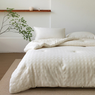 Class A Japanese-style cotton double-layer yarn waffle 51% soybean sheet double spring and autumn quilt thickened winter quilt warm patch