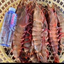 �tצ�rҰ����ڹ��r��Ź��rԴ�^һ�ִ��r����YԴ���r�ش��r