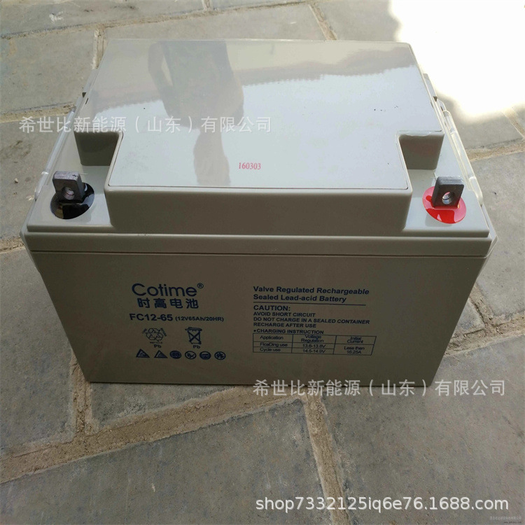 法国时高StecoPLATINE12-200风能发电系统12V200AH轨道交通用蓄