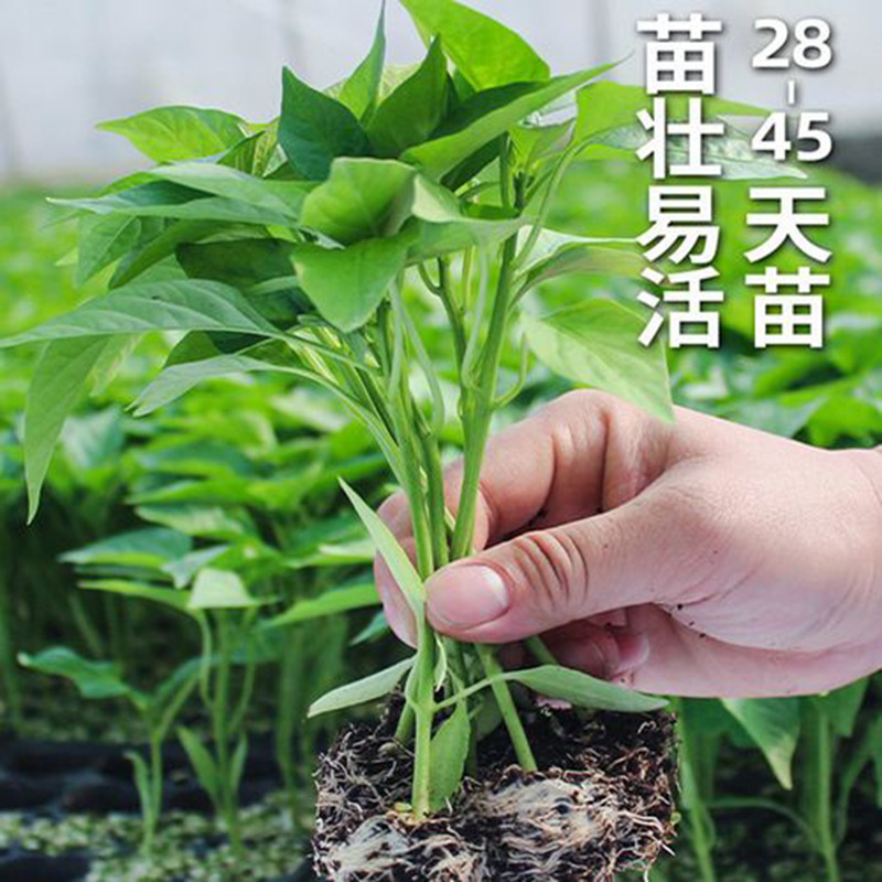 u=2060399352,1401002432&fm