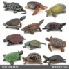 Turtle 12-piece set 128g