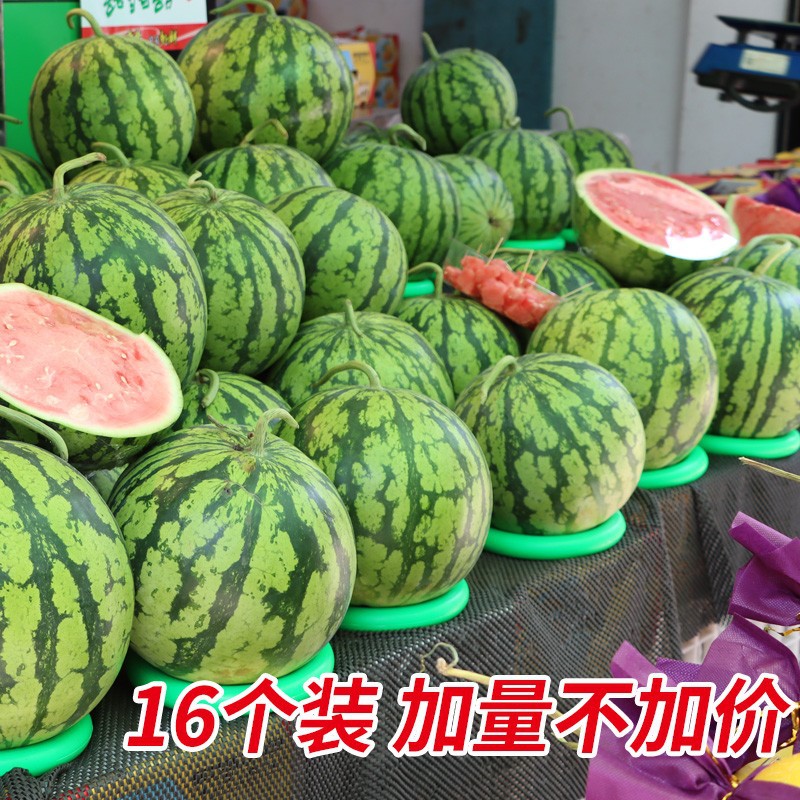 Fix the watermelon ring to the watermelon ring fruit store anti-slip mat plastic ring display and arrangement pad ring base holder ring basketball