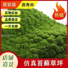 仿真绿植墙 青 人造苔草草坪 盆景草 场景橱窗假拍照道具