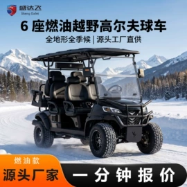 高尔夫球车;电动观光车