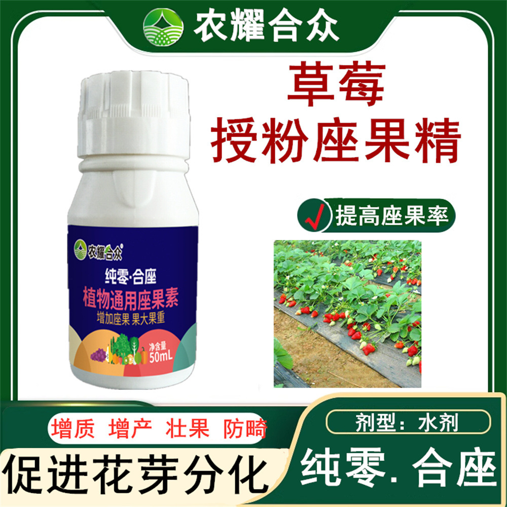 Special Fertilizer for Strawberry Pollination, Fruit Setting Essence, Strawberry Flower and Fruit Protection, Anti-Cracking, Anti-Falling, Yield-Increasing, Expansion and Flowering Promotion Fertilizer