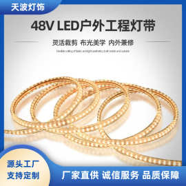 48V户外IP65工程灯带2835led灯带LED灯条led软灯条灯箱灯条批发