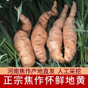 ���u�r���S������Ͻ������r�������S�F�ڬF�l��Ұ��500g��؛
