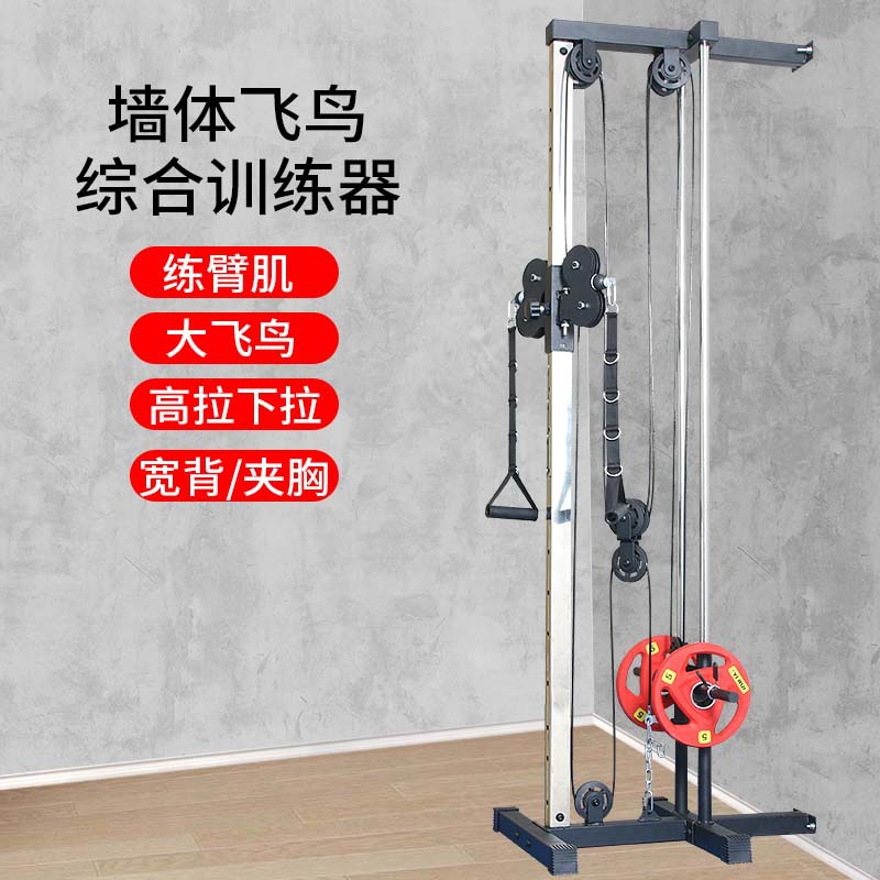 Wall-Mounted Small Bird Pulldown Wide Back Shoulder Chest Triceps Comprehensive Fitness Muscle Trainer Combination Set