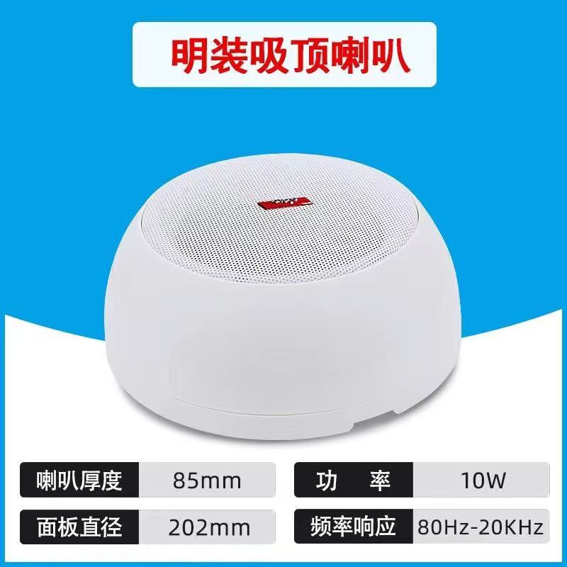 爱国者明装吊顶天花吸顶喇叭音响定压功放套装室内悬挂用店铺专用|undefined