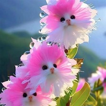 ������u��Ę؈�m���M��������¿��������οɐ�����ҷ�����ȩ