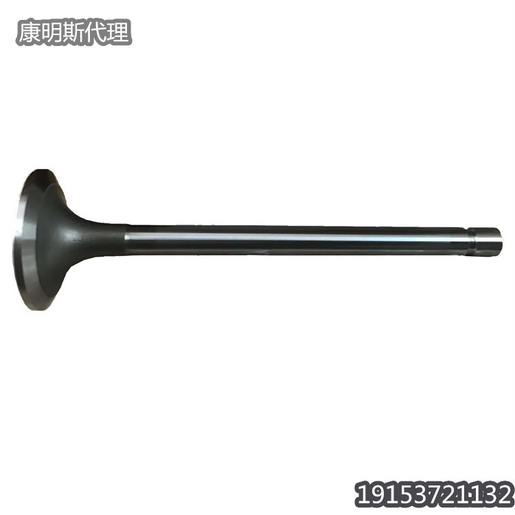 上海康明斯代理供应KTA19零部件进气门 3803515  VALVE INTAKE