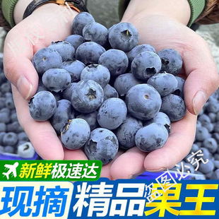 ����{ݮ���r����ˮ�����lһ���䳬��̖����r���ЋD�����oʳ��Ŀ