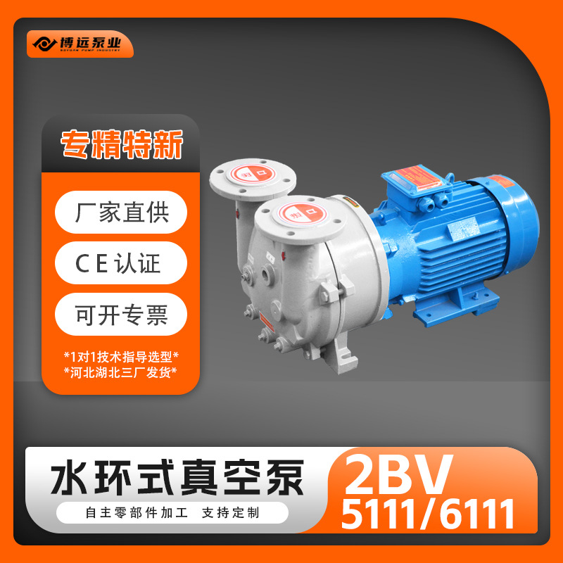 厂家供应2BV5111/6111水环真空泵气泵真空机组气体传输泵防腐蚀