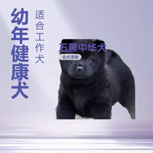 ���N�����Ȯ�������CȮ���w����С�����A��@Ȯ����Ȯ����Ȯ